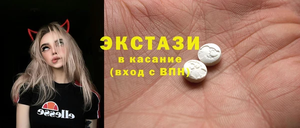 тгк Дмитриев