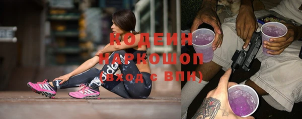 тгк Дмитриев
