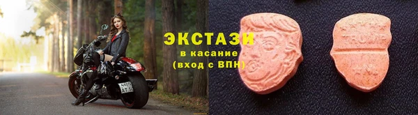 тгк Дмитриев