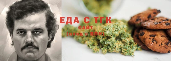 тгк Дмитриев