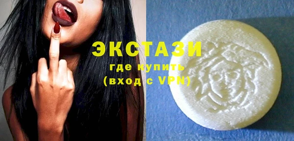 тгк Дмитриев