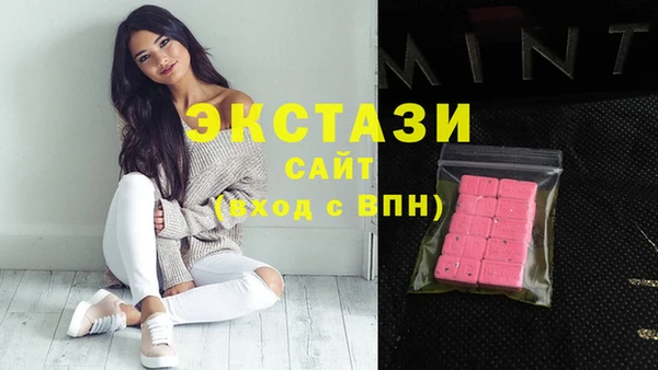 тгк Дмитриев